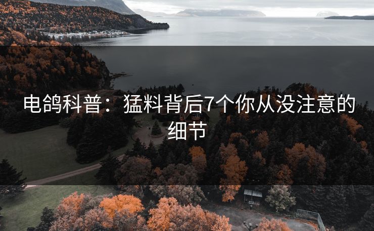 电鸽科普:猛料背后7个你从没注意的细节
