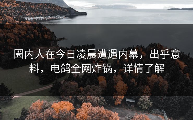 圈内人在今日凌晨遭遇内幕,出乎意料,电鸽全网炸锅,详情了解 圈内人在今日凌晨遭遇内幕,出乎意料,电鸽全网炸锅,详情了解