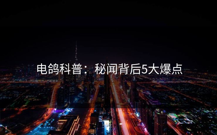 电鸽科普:秘闻背后5大爆点 电鸽科普:秘闻背后5大爆点