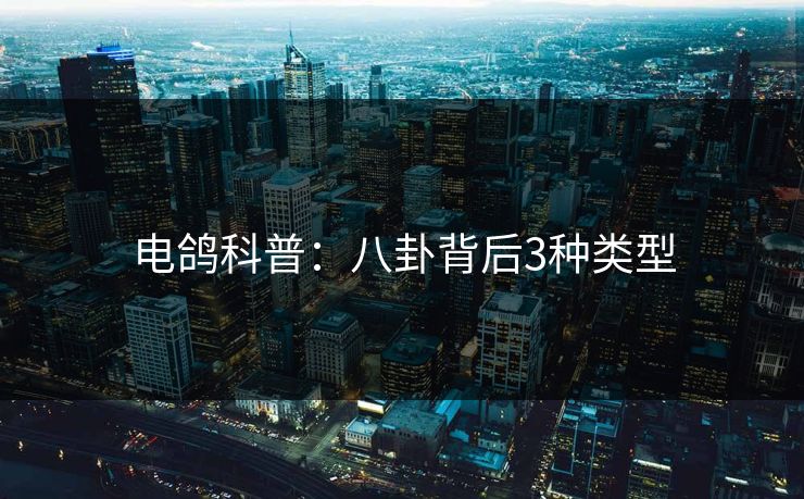 电鸽科普:八卦背后3种类型 电鸽科普:八卦背后3种类型