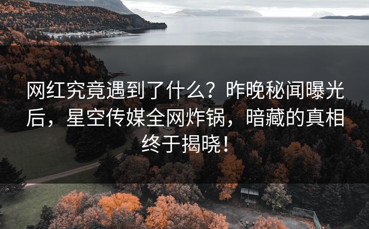 网红究竟遇到了什么?昨晚秘闻曝光后,星空传媒全网炸锅,暗藏的真相终于揭晓! 网红究竟遇到了什么?昨晚秘闻曝光后,星空传媒全网炸锅,暗藏的真相终于揭晓!