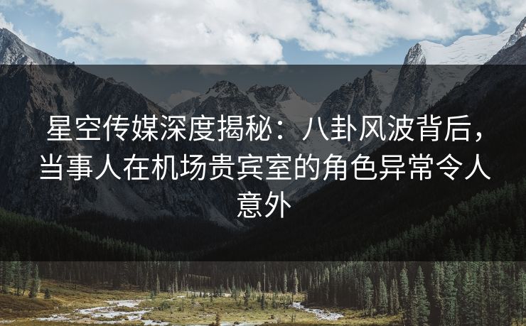 星空传媒深度揭秘:八卦风波背后,当事人在机场贵宾室的角色异常令人意外