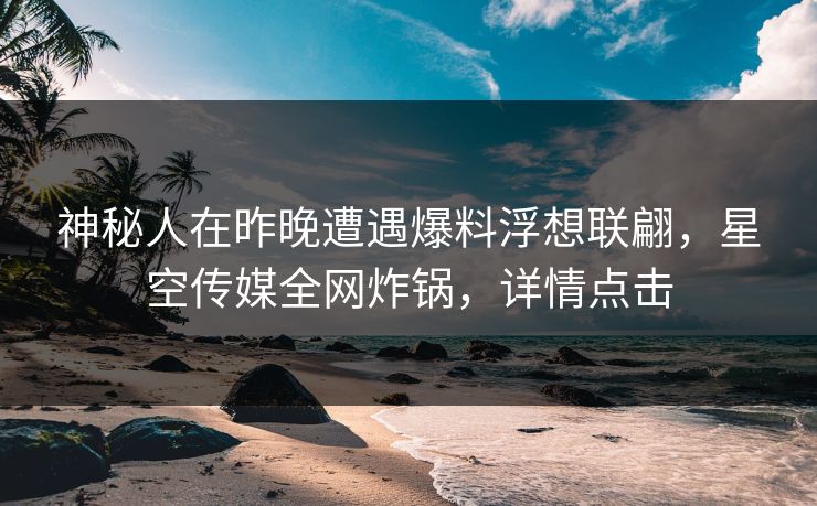 神秘人在昨晚遭遇爆料浮想联翩,星空传媒全网炸锅,详情点击