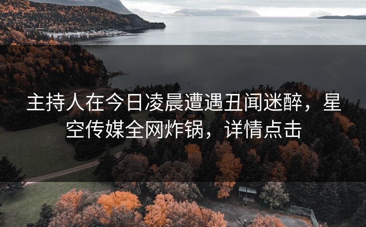 主持人在今日凌晨遭遇丑闻迷醉,星空传媒全网炸锅,详情点击 主持人在今日凌晨遭遇丑闻迷醉,星空传媒全网炸锅,详情点击
